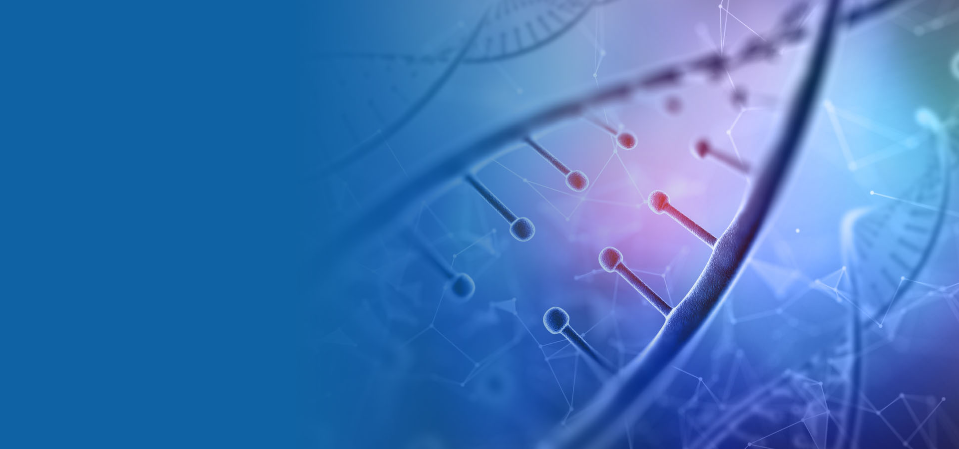 致力于打造药械生态集群