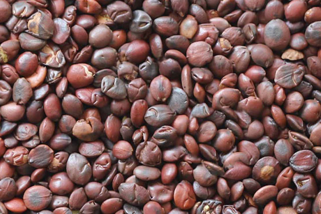 双合枣仁颗粒"获备案制下首个制剂批件